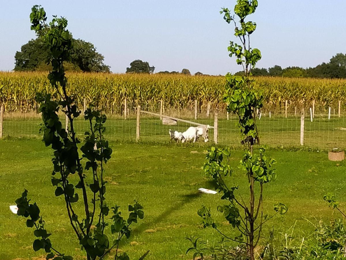De Vrije Wei Broekland (Gelderland) Exterior foto